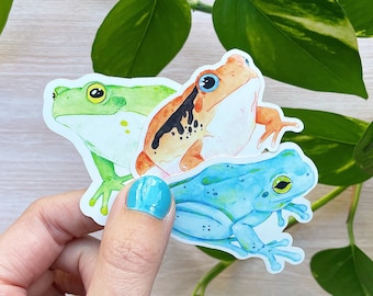 Froggo Sticker 3 Pack