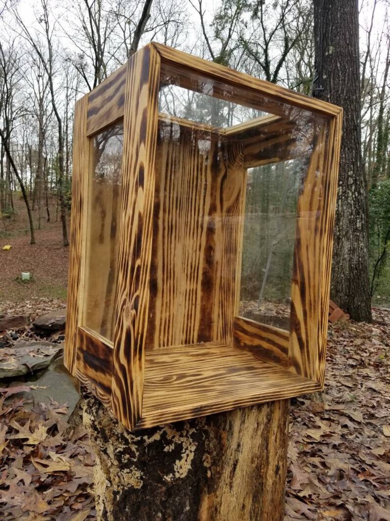 Pode incluir: Uma vitrine de madeira com frente de vidro. A madeira tem um acabamento queimado e &eacute; de cor castanho claro. A vitrine est&aacute; sentada em um tronco de &aacute;rvore.