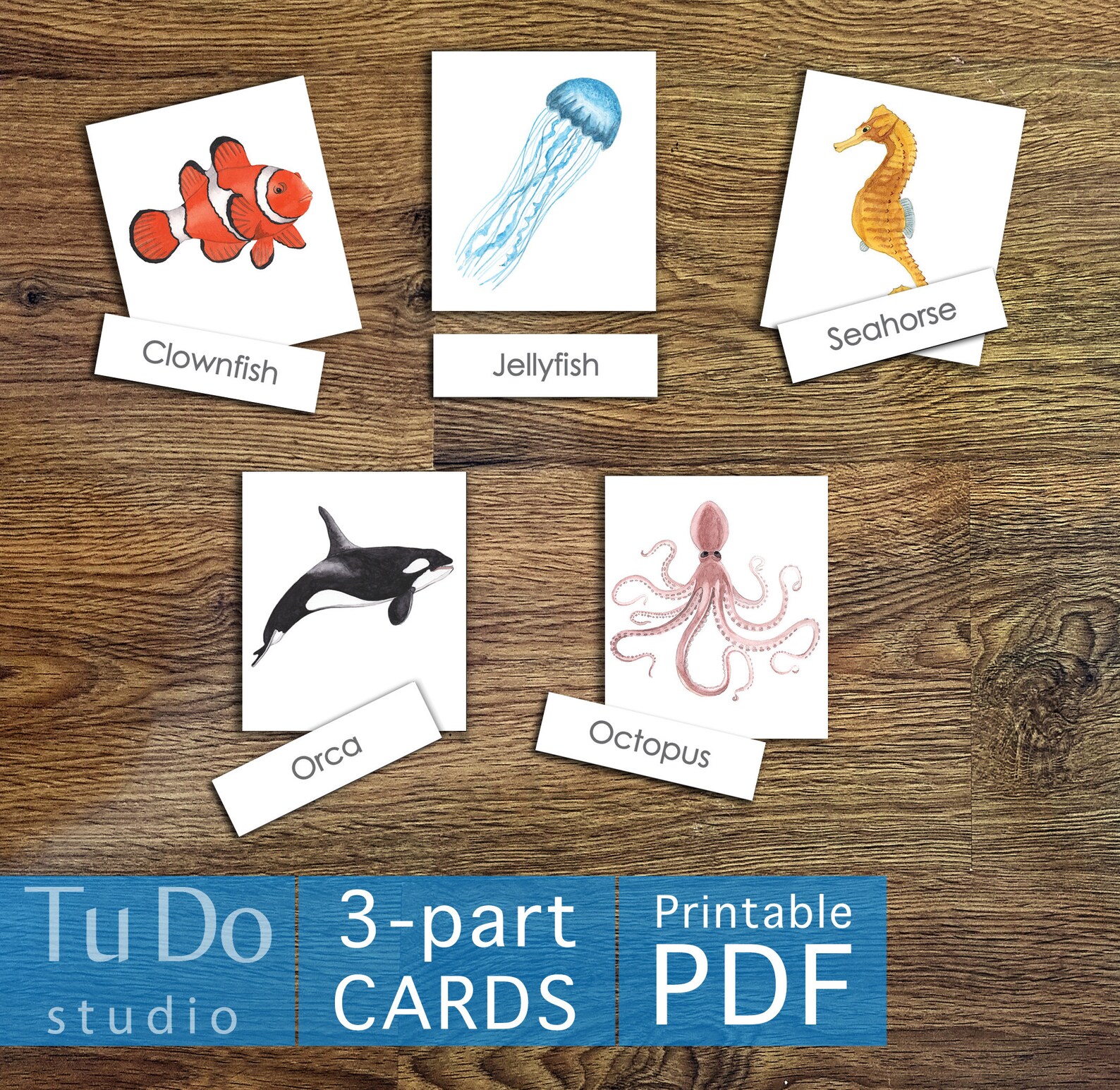 12 OCEAN ANIMALS Flashcards Digital Files ONLY Montessori Etsy