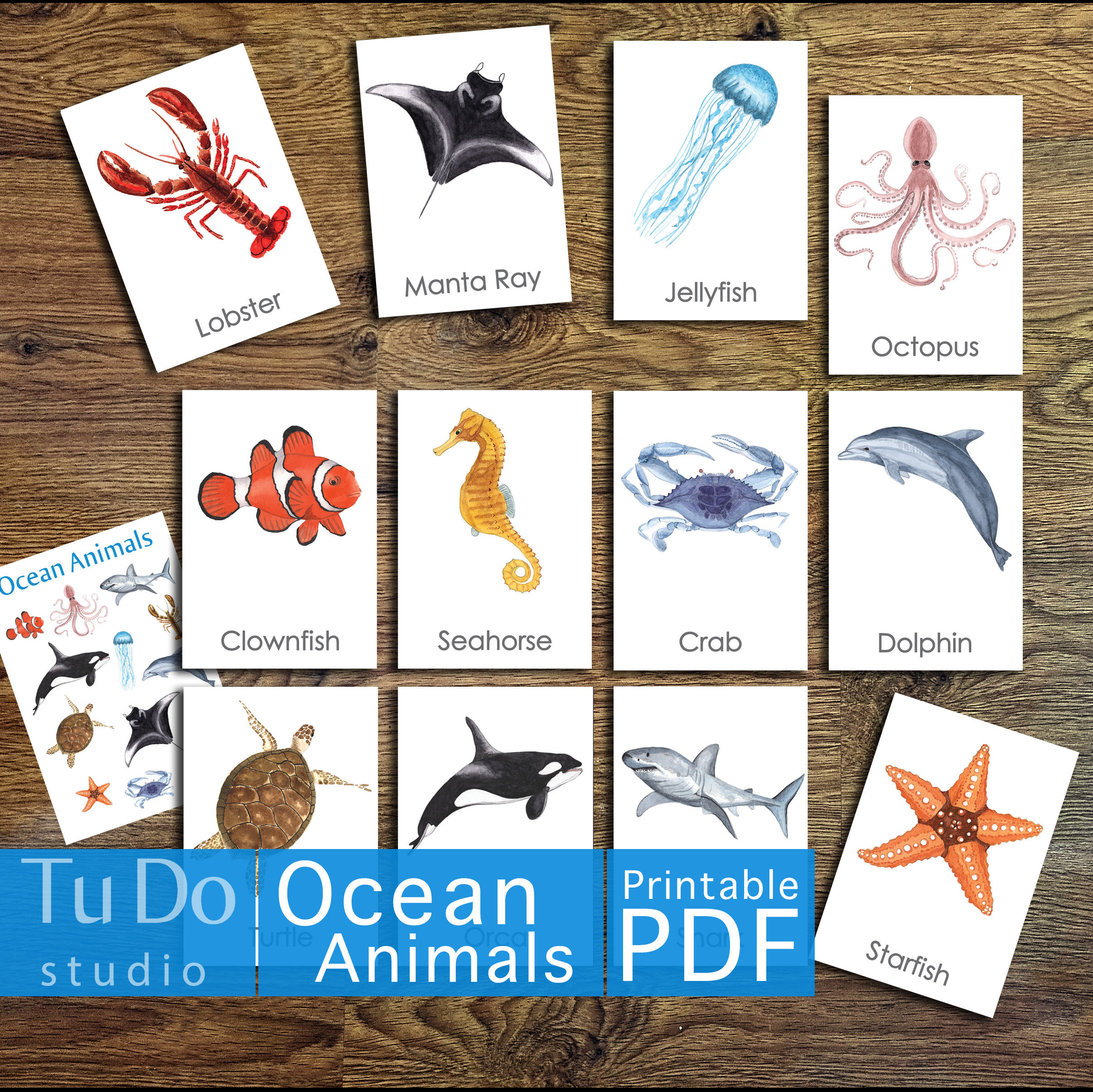 12 OCEAN ANIMALS Flashcards Digital Files ONLY Montessori - Etsy