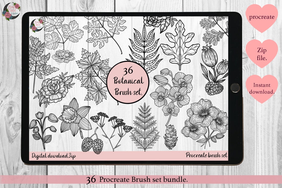 Botanical Procreate Stamp Set, 36 Floral Elements, Commercial Use ...