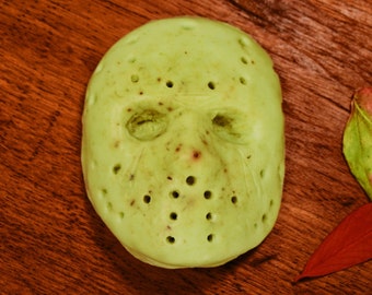 Xoxos phybes vst download