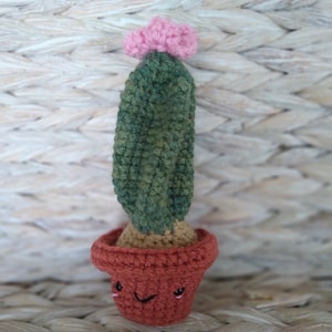 Cactus crocheted stuffed toy amigurumi Smiling face cactus Stuffed cacti toy for decoration or fun Knit stuffed cactus toy Crochet cactus