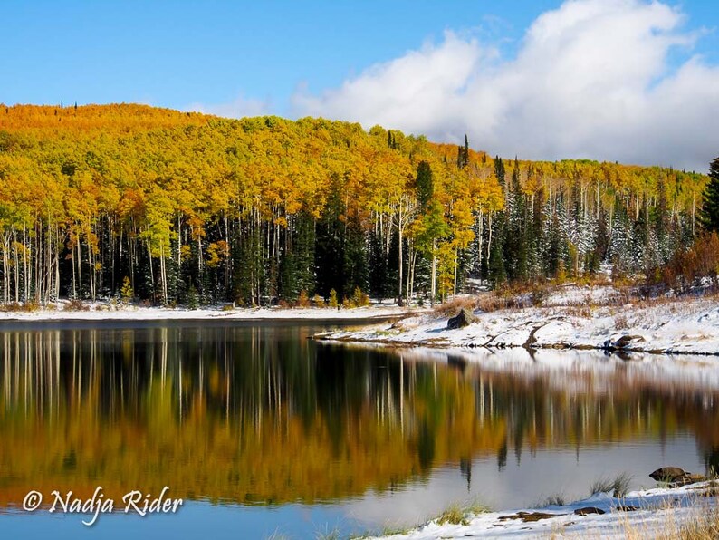 Fall Aspens at Freeman Reservoir by Craig Colorado Fine Art Etsy