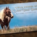DEBORAH PLOUFFE reviewed Wild Horses of Sand Wash Basin Book - Sand Wash Basin Photography Book, wild mustang photos,  Northwest Colorado