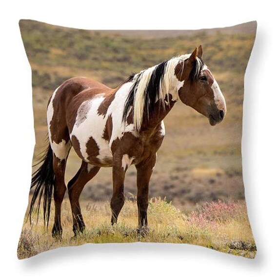 Picasso Microfiber Throw Pillow 16x16 Sand Wash Basin Wild Etsy