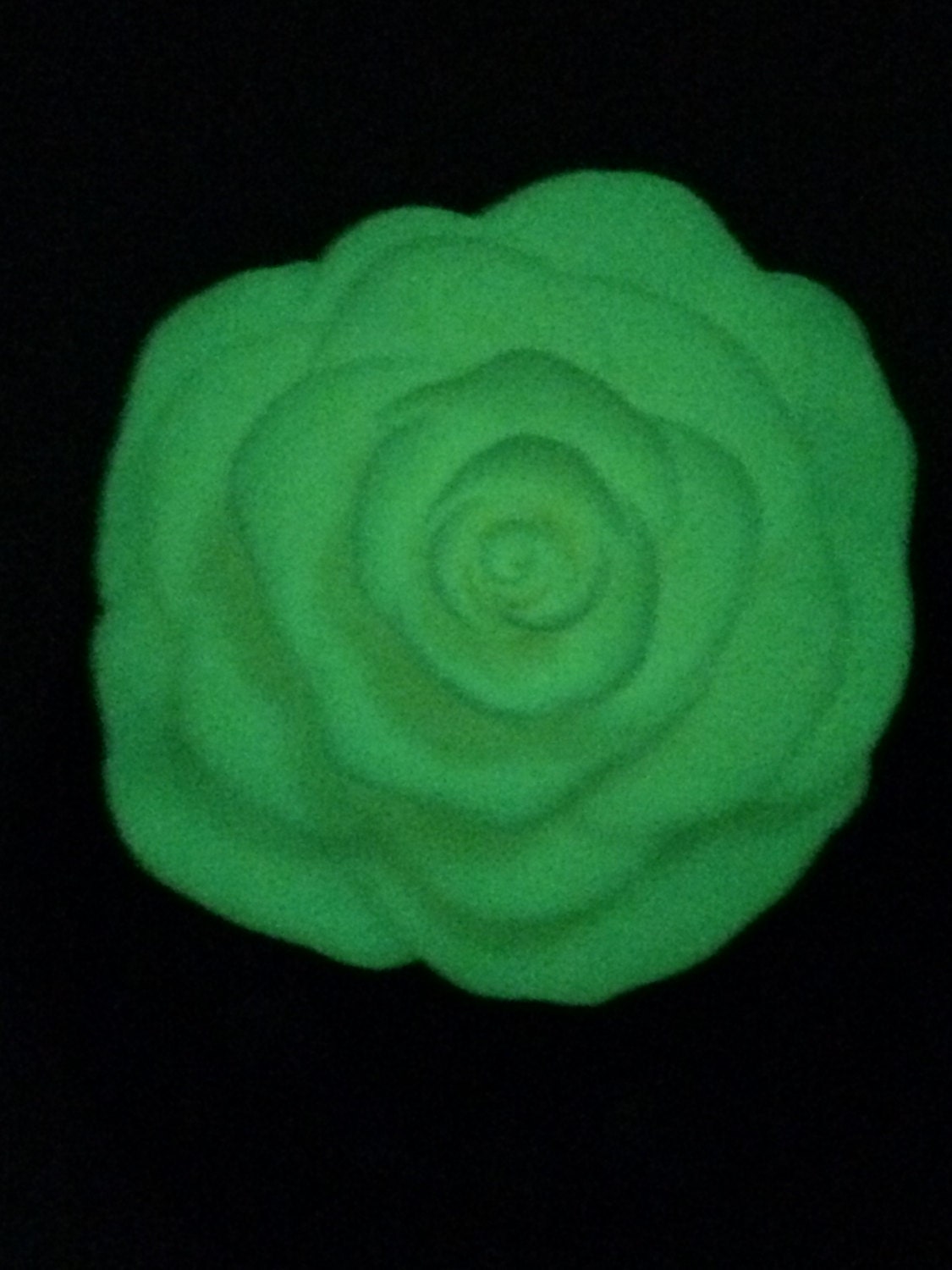 Beauty and the Beast Rose, Beauty and the Beast Wedding, Enchanted Rose