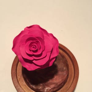 Beauty and the Beast rose, beauty and the beast, pink rose,enchanted rose, rose in glass, forever rose, fairy tale image 1
