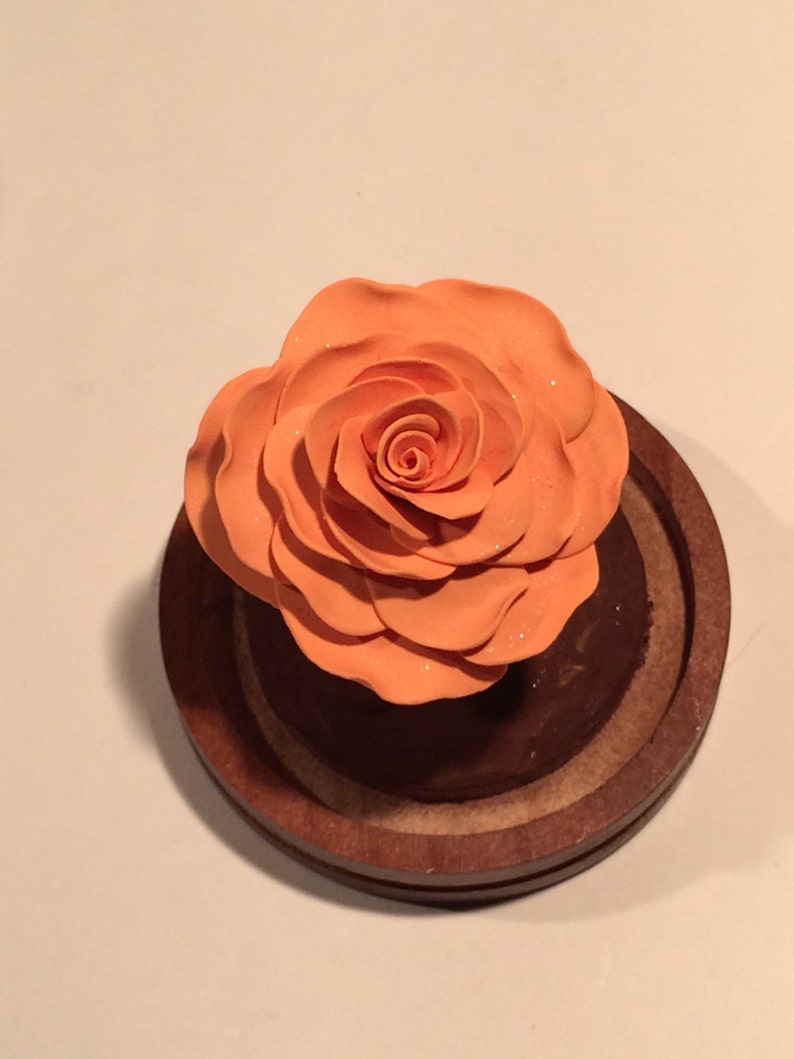 Light orange rose, Rose Dome, Enchanted Rose, Orange Rose, Cake topper, Wedding, Fairy Tale Rose, Beauty and the Beast Rose, Rose in glass image 5
