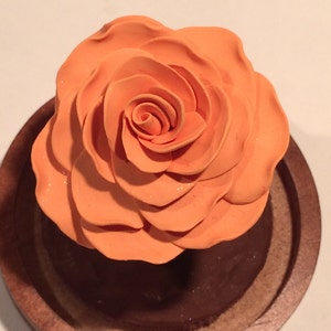 Light orange rose, Rose Dome, Enchanted Rose, Orange Rose, Cake topper, Wedding, Fairy Tale Rose, Beauty and the Beast Rose, Rose in glass image 3