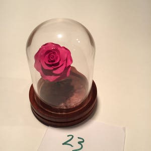 Beauty and the Beast rose, beauty and the beast, pink rose,enchanted rose, rose in glass, forever rose, fairy tale image 2