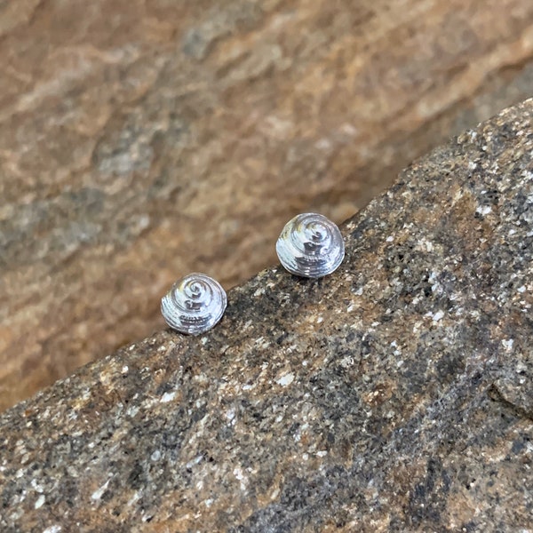 Tiny sea snails- sterling silver stud earrings