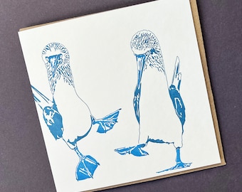 Blaufußtölpel Karte - Geburtstagskarte - Letterpress Karten - Kunst Grußkarten - Jubiläum - Humor - Valentinstag - Liebeskarte