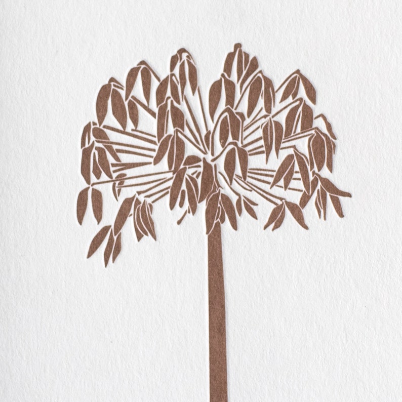 Agapanthus seed head Metallic bronze thank you note cards seed heads Agapanthus card letterpress cards Letterpress note cards