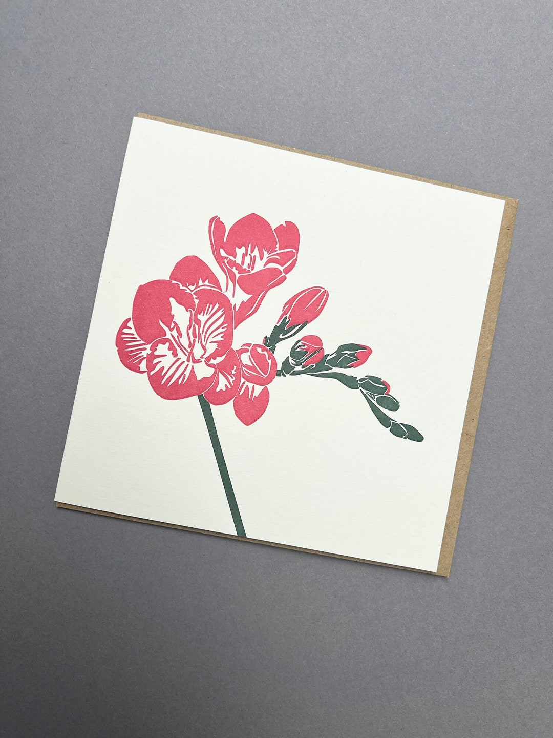 White Freesia Flowers in Full Bloom. 50278364 PNG