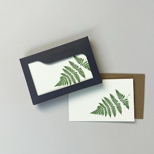 Könnte beinhalten: Ein Set "Tiny Notes" Karten mit einem Farnblatt-Design. Die Karten sind weiß mit einem grünen Farn-Aufdruck, präsentiert in einer dunkelblauen Box. Eine einzelne Karte und ein brauner Umschlag sind ebenfalls sichtbar.