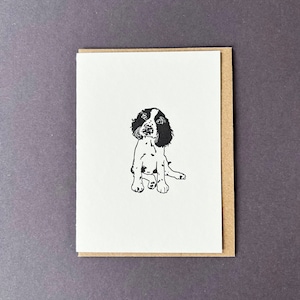 Biglietto di auguri Springer Spaniel - Biglietti di ringraziamento per cani - Biglietti con stampa tipografica - Biglietti piccoli - Springer Spaniel inglese - Biglietto di auguri di compleanno - Dog walker