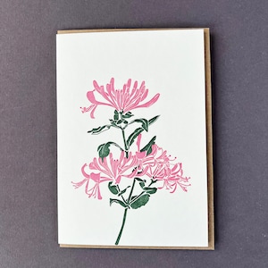 Bloemenkaart - kamperfoelie - Engelse plattelandstuin - wilde bloem - Moederdag - boekdruk - vriendschap - roze flora - gewoon omdat