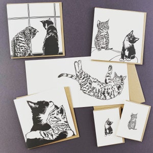 This is our large card collection but also includes two small cards, one of Molly, our black and white kitten and Maud, our tabby.