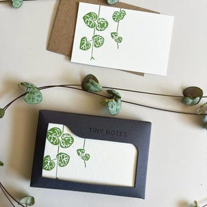 May include: White notecards with green botanical illustrations and a brown envelope. A dark grey box with the words "TINY NOTES" holds a notecard with a similar design. A string of green and grey heart-shaped leaves decorates the scene.