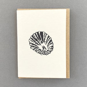 Limpet Shell Card - schelpkaarten - Limpet - boekdrukkaart - bedankkaartjes - kaarten zomaar - cadeaukaartje - strand - lerarenkaart