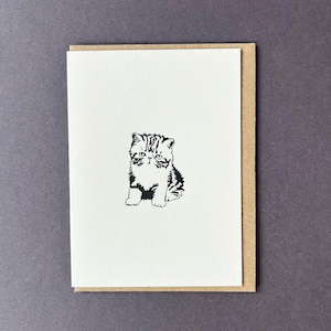 Carte exotique à poils courts - Cadeau chat - Carte de correspondance chat - Cartes de correspondance de typographie - Petites cartes de correspondance - Carte de chat - Carte de chaton - Carte de correspondance de minou