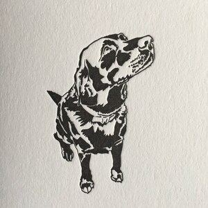 May include: Black and white silhouette of a dog looking upwards. The dog is standing on a white background.