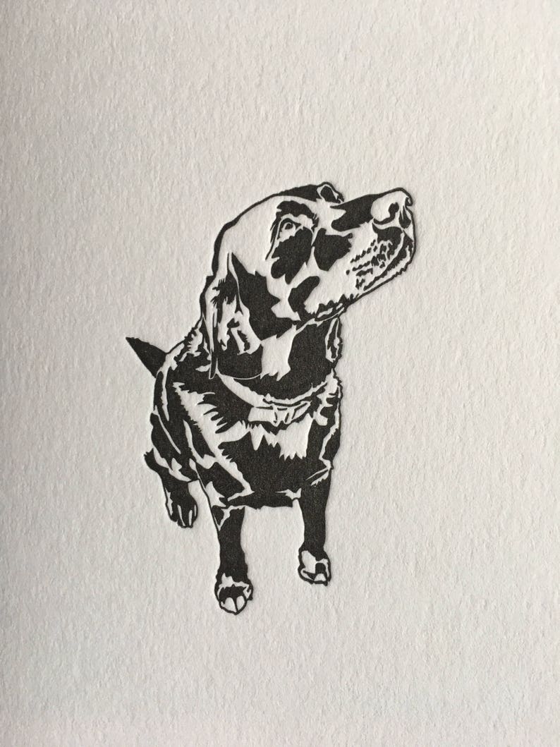 May include: Black and white silhouette of a dog looking upwards. The dog is standing on a white background.
