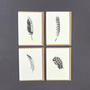 Kaartenset veren - kaart veren - vogels - vogelveer - boekdrukkaarten - bedankkaarten - cadeaukaartjes - lerarenkaarten
