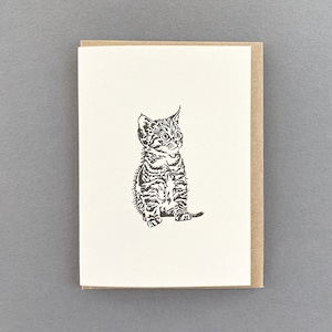 Carte chaton tigré - carte de correspondance chaton espiègle - typographie - carte petit chat - carte de correspondance minou - carte de chaton mignon - carte de professeur -