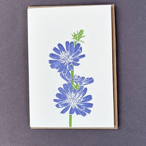 Tarjeta de flores - Achicoria - Jardín campestre inglés - Flor silvestre - Porque sí - Impresión tipográfica - Día de la madre - Amistad - Flora Primavera
