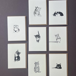 May include: Eight greeting cards with black and white cat illustrations. Each card has a white interior and a brown border. The cats are shown in different poses, including sitting, stretching, and sleeping. The cards are displayed on a grey background.