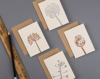 Seed Head Cards - Just because - Letterpress note cards - Letterpress Cards - blank card set - Small Note Cards - blank multipack - autumn