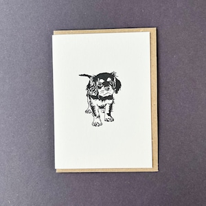 Carte chiots Cavalier King Charles - cartes de remerciement - typographie - petites cartes - carte d'anniversaire - étiquette cadeau - carte chiot - promeneur de chien