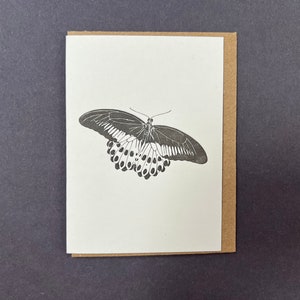 Mormoonse vlinder - vlinders - insecten - vlinders - boekdrukkaarten - bedankkaartjes - klein kaartje - Cadeaukaartje - Nieuw begin