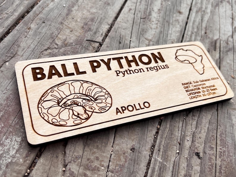 Ball Python Laser-engraved wooden zoological species sign for reptile habitats, custom nameplate