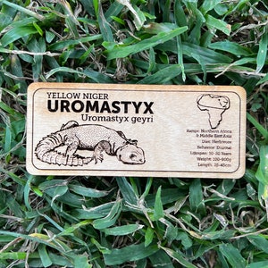 Custom Zoological Species Sign: Reptile, Amphibian, Invert Wooden Tag ...