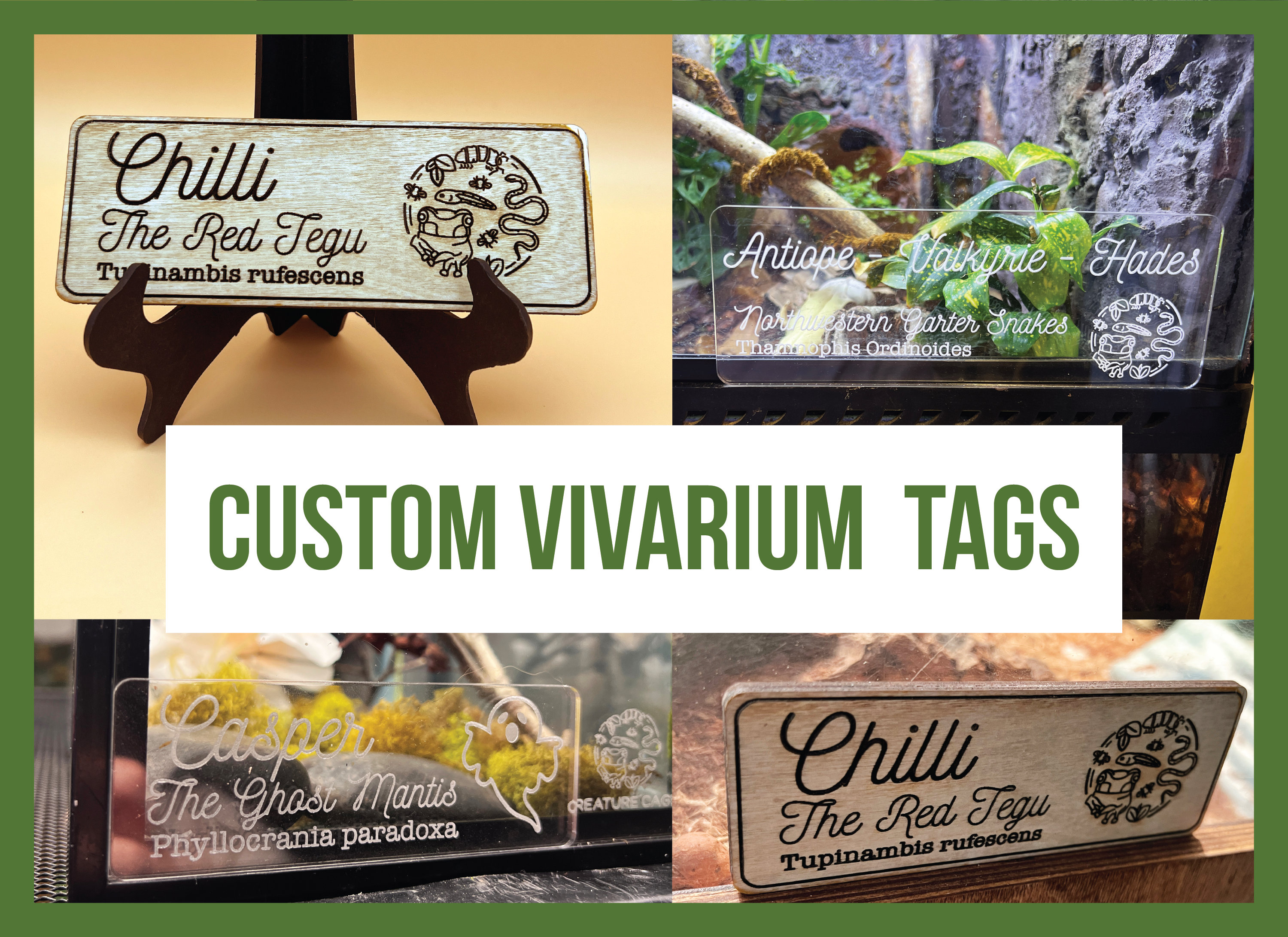 Reptile Id Cards