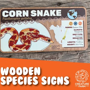 Corn Snake Species Sign - Wooden Reptile Enclosure Tag - Exotic Pet Nameplate - Naturalistic Zoo Plaque - Educational Snake Decor