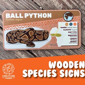 Ball Python Species Sign - Wooden Reptile Enclosure Tag - Exotic Pet Nameplate - Naturalistic Zoo Plaque - Educational Snake Decor