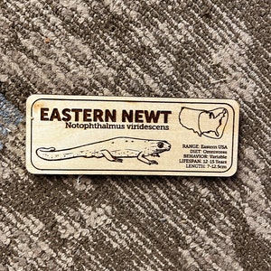 Laser-engraved wooden zoological species sign for reptile habitats, custom nameplate for eastern newt