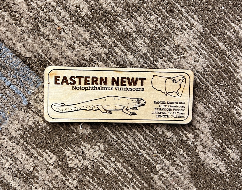 Laser-engraved wooden zoological species sign for reptile habitats, custom nameplate for eastern newt