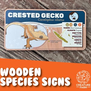 Segno della specie di geco crestato - Etichetta per recinto per rettili in legno - Targa per animali esotici - Targa naturalistica per zoo - Decorazione educativa per lucertole