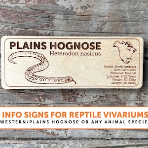 Hognose Snake Zoological Species Signs | ANY SPECIES | Wooden Informational Tags Reptiles Frogs Lizards Amphibians Snakes Inverts Custom All