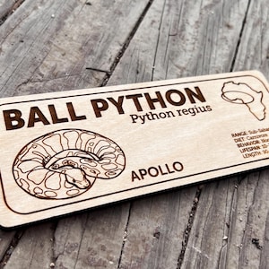 Pu&ograve; includere: Cartello in legno con un'illustrazione incisa al laser di un pitone reale, etichettato "BALL PYTHON" e "Python regius". Include dettagli su area di distribuzione, dieta, comportamento, durata della vita e lunghezza (90-137cm). &Egrave; incluso anche il nome "APOLLO".