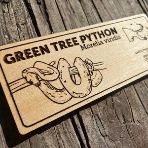 Pu&ograve; includere: Targa rettangolare in legno con le parole "GREEN TREE PYTHON" e "Morelia viridis" incise. Presenta un'illustrazione dettagliata di un pitone verde arboricolo. Ulteriore testo fornisce informazioni sull'areale, la dieta, il comportamento, la durata della vita, il peso e la lunghezza del serpente.