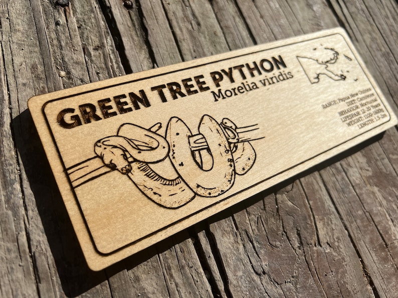 Pu&ograve; includere: Targa rettangolare in legno con le parole "GREEN TREE PYTHON" e "Morelia viridis" incise. Presenta un'illustrazione dettagliata di un pitone verde arboricolo. Ulteriore testo fornisce informazioni sull'areale, la dieta, il comportamento, la durata della vita, il peso e la lunghezza del serpente.