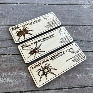 Laser-engraved wooden zoological species sign for reptile habitats, custom nameplate