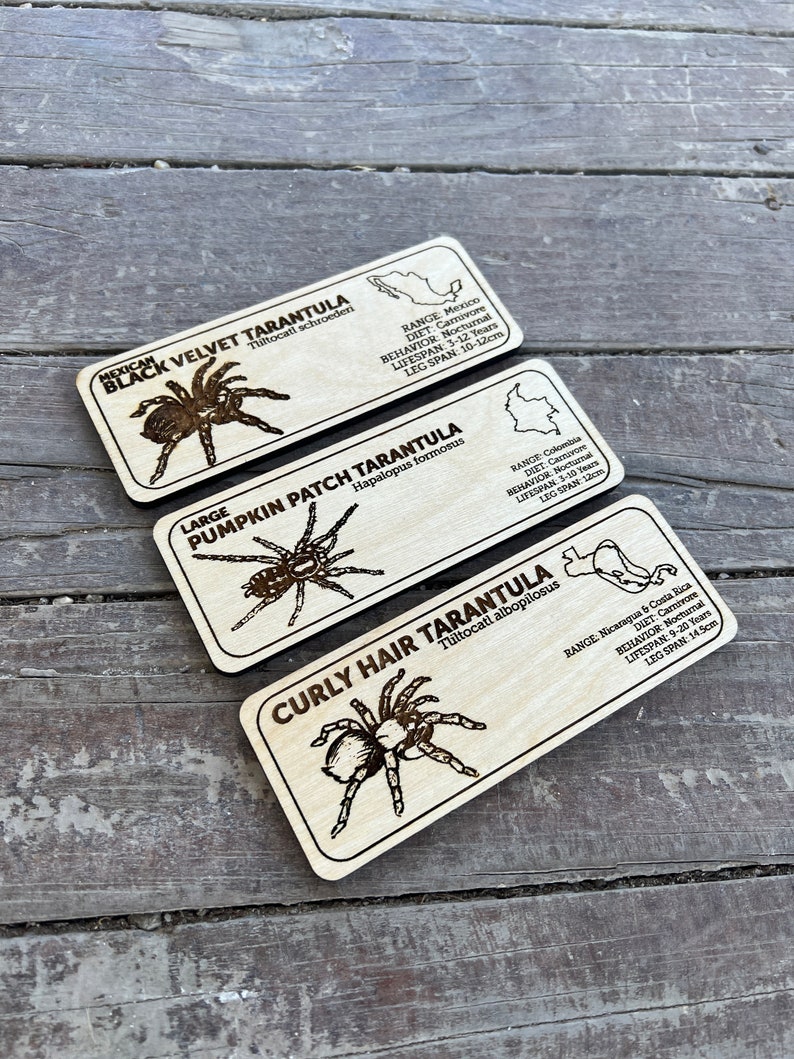 Laser-engraved wooden zoological species sign for reptile habitats, custom nameplate