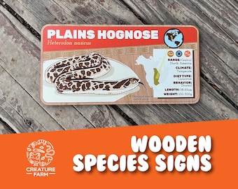 Plains Hognose Schlangenschild: Holzdekor für Reptilien